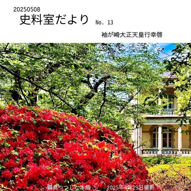 【#清泉女子大学史料室だより
#20250508 #No13 袖が崎大正天皇行幸啓】

1917（大正6）年5月8日に島津家の迎賓館（旧島津家本邸）落成記念披露のための大正天皇行幸啓がありました。
今日では、大学の敷地一帯は通称「島津山」と呼ばれていますが、大正天皇行幸啓当時の地名は「袖が崎」といい、島津家ではこの屋敷を「袖が崎邸」と呼んでいました。
霧島つつじの美しい時期に合わせて、落成記念披露が行われたとみられます。
現在も霧島つつじが咲き誇る大学の奥庭には、この行幸啓時の天皇皇后両陛下のご休息場跡が残っています。

4枚目の写真は、現在、清泉女子大学の本館となっている旧島津家本邸の玄関前で大正天皇皇后両陛下のご到着をお待ちする島津家関係者です。第30代島津家当主の島津忠重公と伊楚子夫人が車寄せに立たれています。写真一番左には松方正義の姿も見えます。

5枚目の写真は4枚目の写真に彩色処理を施したものです。
正面玄関の車寄せ部分の幕が紫色になっていますが、この幕の色については「長﨑省吾関係文書　島津公爵邸洋館平面図」（国立国会図書館所蔵）に『紫幕』との記録が残っていることから、彩色処理が正しくなされていることがわかります。（写真6枚目、7枚目参照）

この行幸啓の三日後の1917（大正6）年5月11日には、政財界の関係者2,000人余りを招待して園遊会が催されました。その際に「行幸啓記念絵葉書」（5枚の写真絵葉書）が配られましたが、当時の旧島津公爵邸の様子を知ることができます。史料室では、その絵葉書を展示しております。園遊会や記念絵葉書については、またの機会にご紹介したいと思います。

#清泉女子大学 #清泉 #大学 #史料室 #歴史 #清泉寮 #清泉女学院 #旧島津公爵邸 #旧島津家本邸 #袖が崎大正天皇行幸啓 #大正天皇行幸啓 #袖が崎 #島津忠重 #島津伊楚子#長﨑省吾 #霧島つつじ #園遊会 #行幸啓記念絵葉書
#seisen_university #seisen #universityarchives
